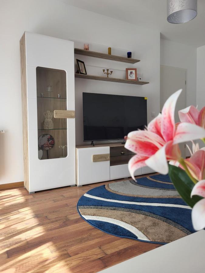 Apartament C&L Brasov Bagian luar foto